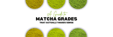 Una guía sobre los grados de Matcha que realmente tiene sentido