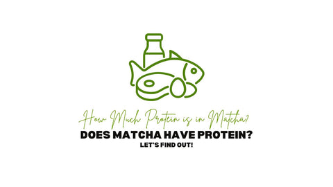 ¿El matcha tiene proteínas? ¿Cuánta proteína hay en el matcha?
