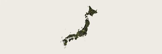 best gyokuro in the world