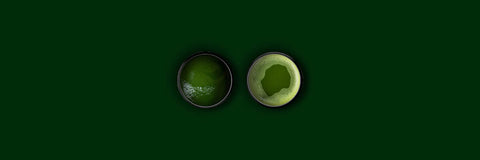 koicha vs usucha matcha thickness comparison