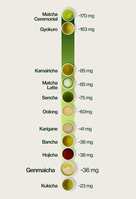 Caffeine level chart highlighting Genmaicha at ~36 mg per 5 g serving, compared with Kukicha ~23 mg, Hojicha ~38 mg, Bancha ~38 mg, Karigane ~41 mg, Oolong ~60 mg, Sencha ~75 mg, Matcha Latte ~85 mg, Kamairicha ~85 mg, Gyokuro ~163 mg and Matcha Ceremonial ~170 mg.