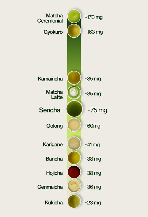 Caffeine level chart highlighting Sencha at ~75 mg per 5 g serving, compared with Kukicha ~23 mg, Genmaicha ~36 mg, Hojicha ~38 mg, Bancha ~38 mg, Karigane ~41 mg, Oolong ~60 mg, Matcha Latte ~85 mg, Kamairicha ~85 mg, Gyokuro ~163 mg and Matcha Ceremonial ~170 mg.