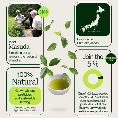 Genmaicha Popcorn Grönt Te