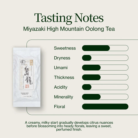 Miyazaki High Mountain Oolong -te
