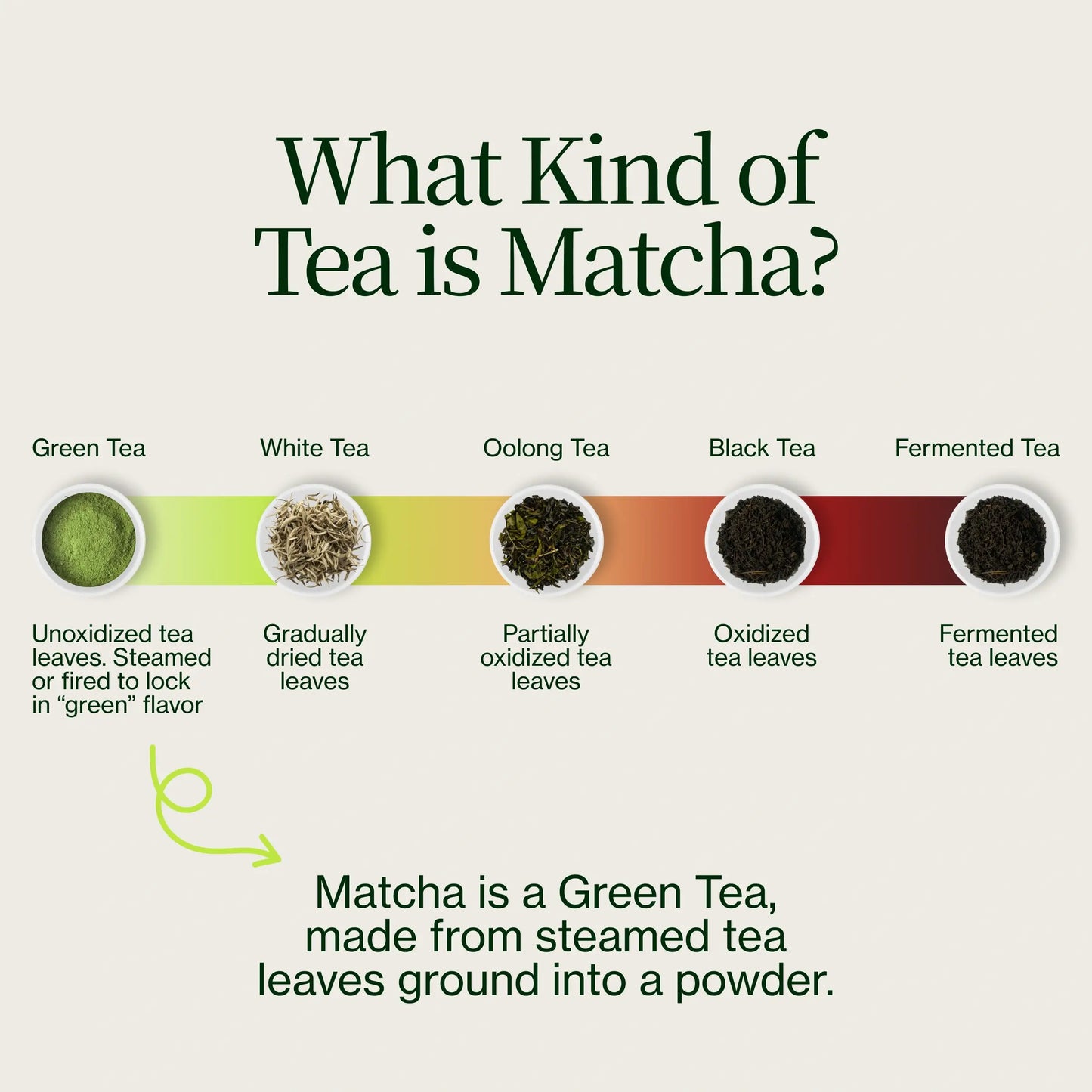 Matcha Zen Sakamoto