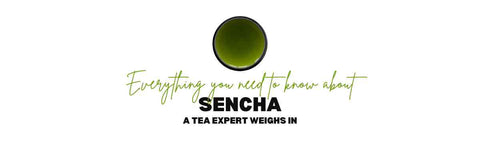 Alles wat u moet weten over Sencha