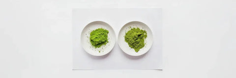 Side-by-side comparison of decaf matcha vs ceremonial matcha powder on white plates, showing differences in texture and color.