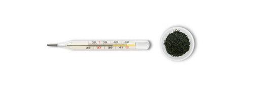 gyokuro brewing temperature