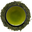 A cup of golden-green sencha seen from above, ringed by needle-shaped sencha leaves on a white background