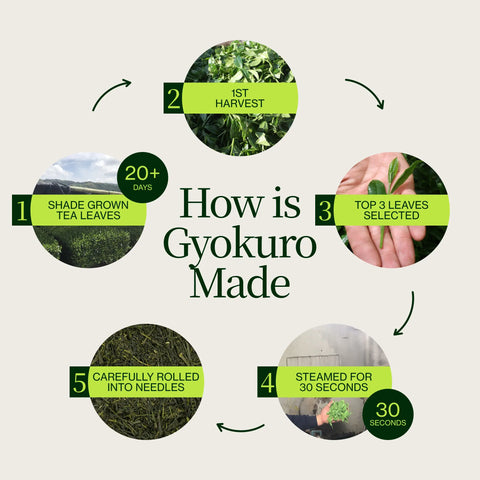 Nishi Gyokuro