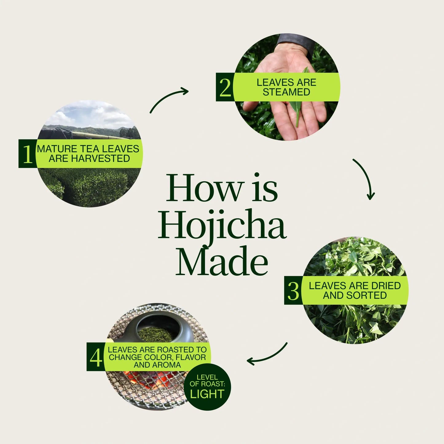 Shizuoka Hojicha Kawabataen