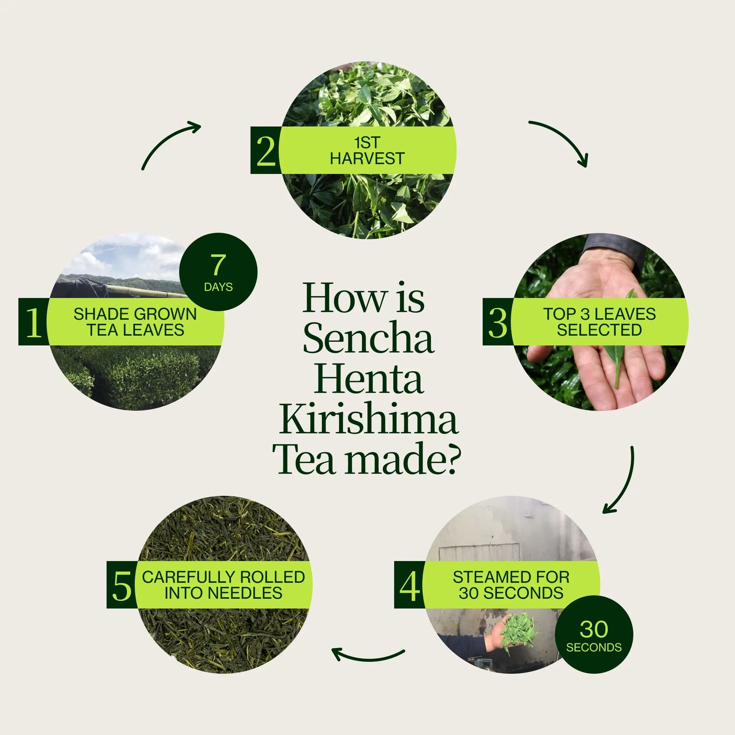 Sencha Henta Kirishima Tea