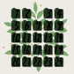Tea Advent Calendar 2026