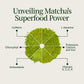 Matcha Tea Advent Calendar 2025 with Whisk, Chawan and Chashaku
