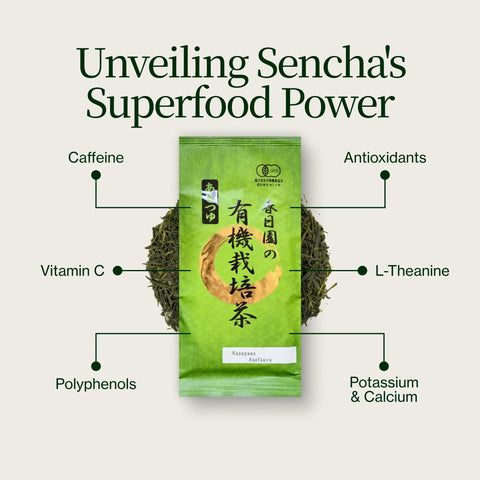 Sencha Kasugaen Asatsuyu