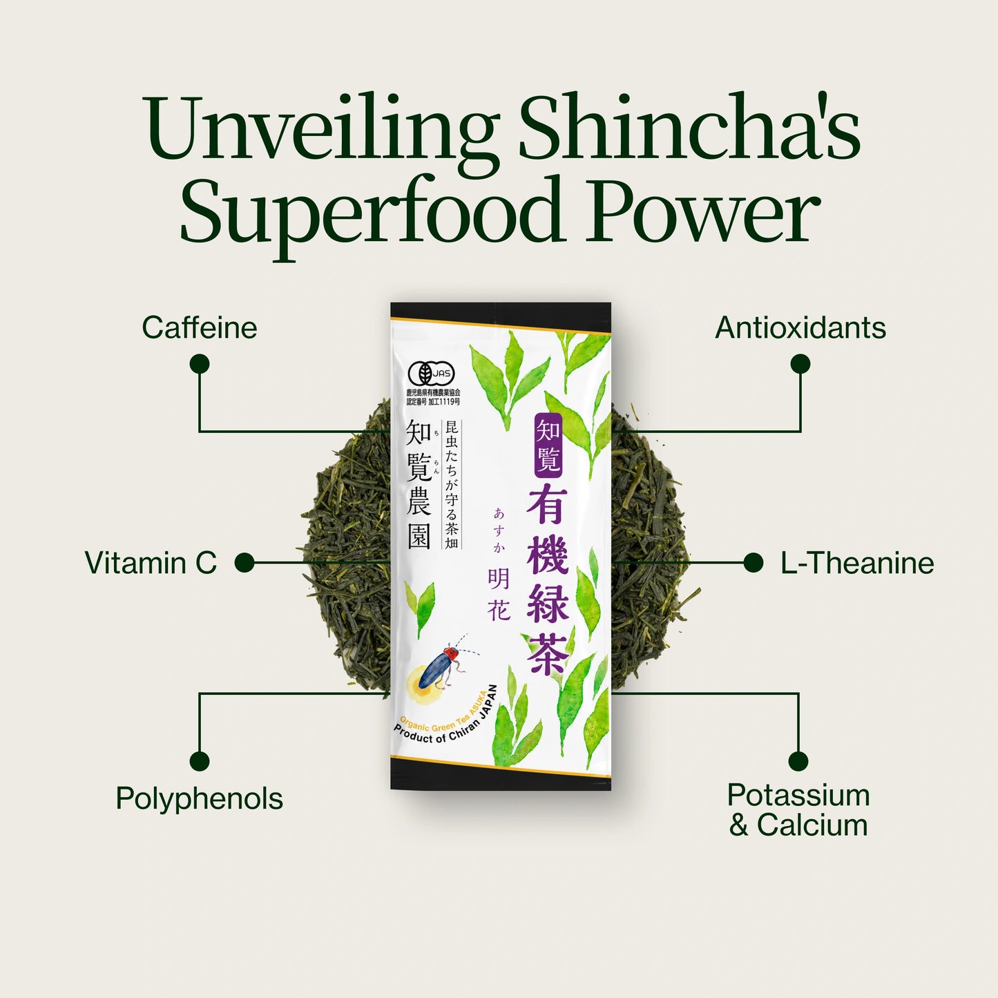 Shincha Asuka Chiran 2026