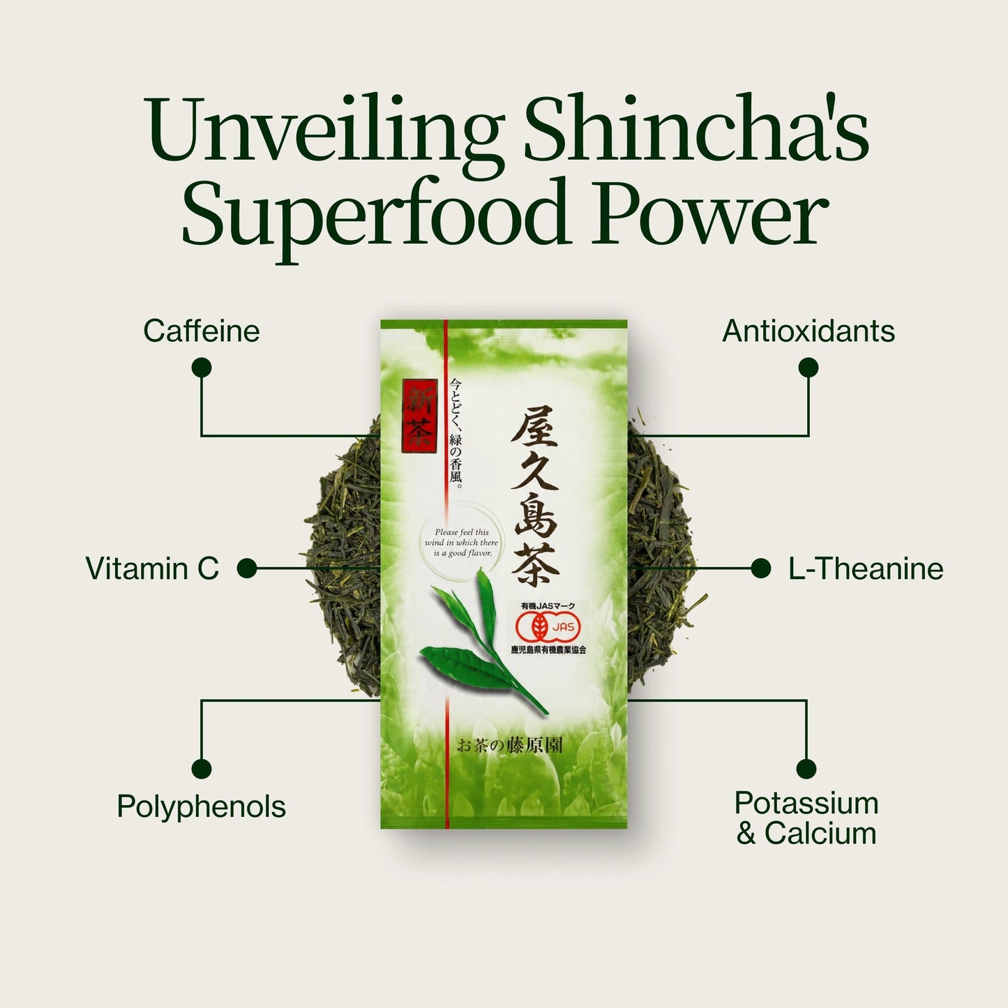 Yakushima Kuritawase Shincha