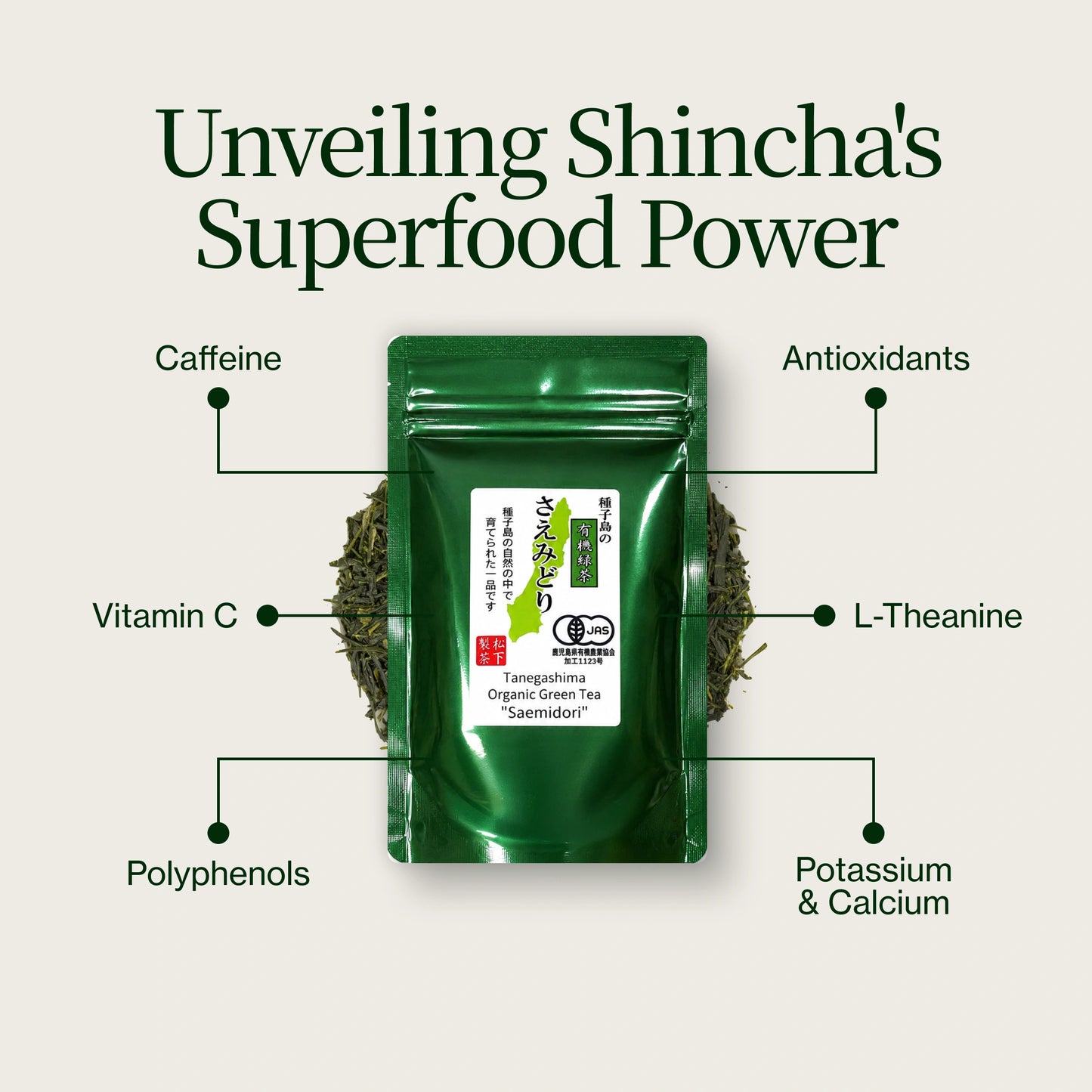 Tanegashima Saemidori Shincha