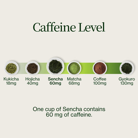Sencha Henta Kirishima Tea