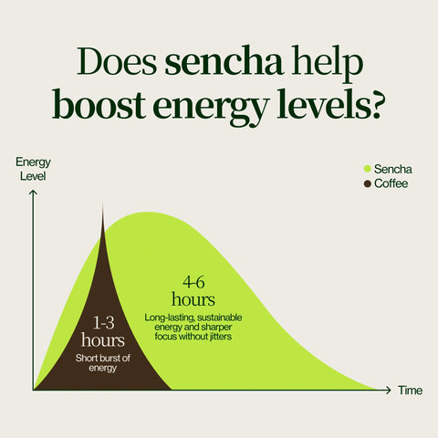 Sencha Henta Kirishima Tea
