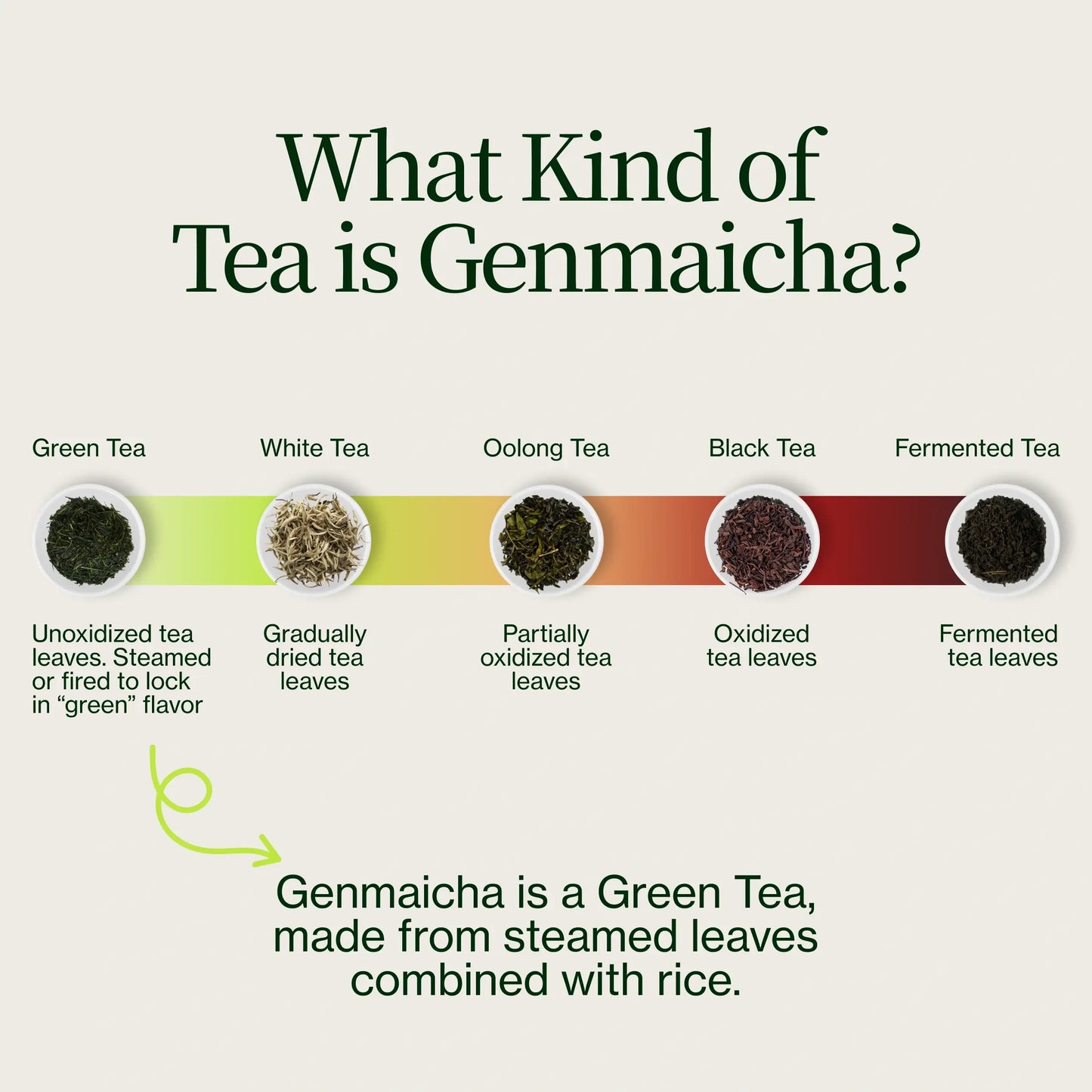 Genmaicha Popcorn Green Tea