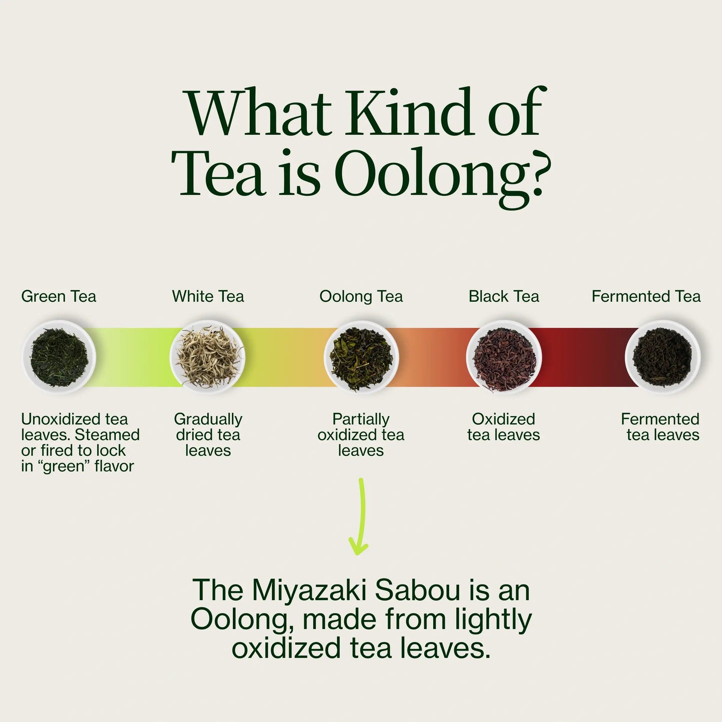 Miyazaki High Mountain Oolong Tea