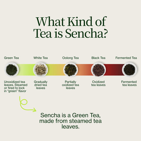 Sencha Henta Kirishima Tea