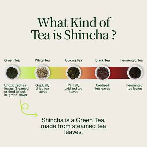 Shincha Shizuku Chiran 2026 con Polvo de matcha