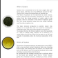 Secrets of Japanese Green Tea: the ultimate Japanese Tea Book